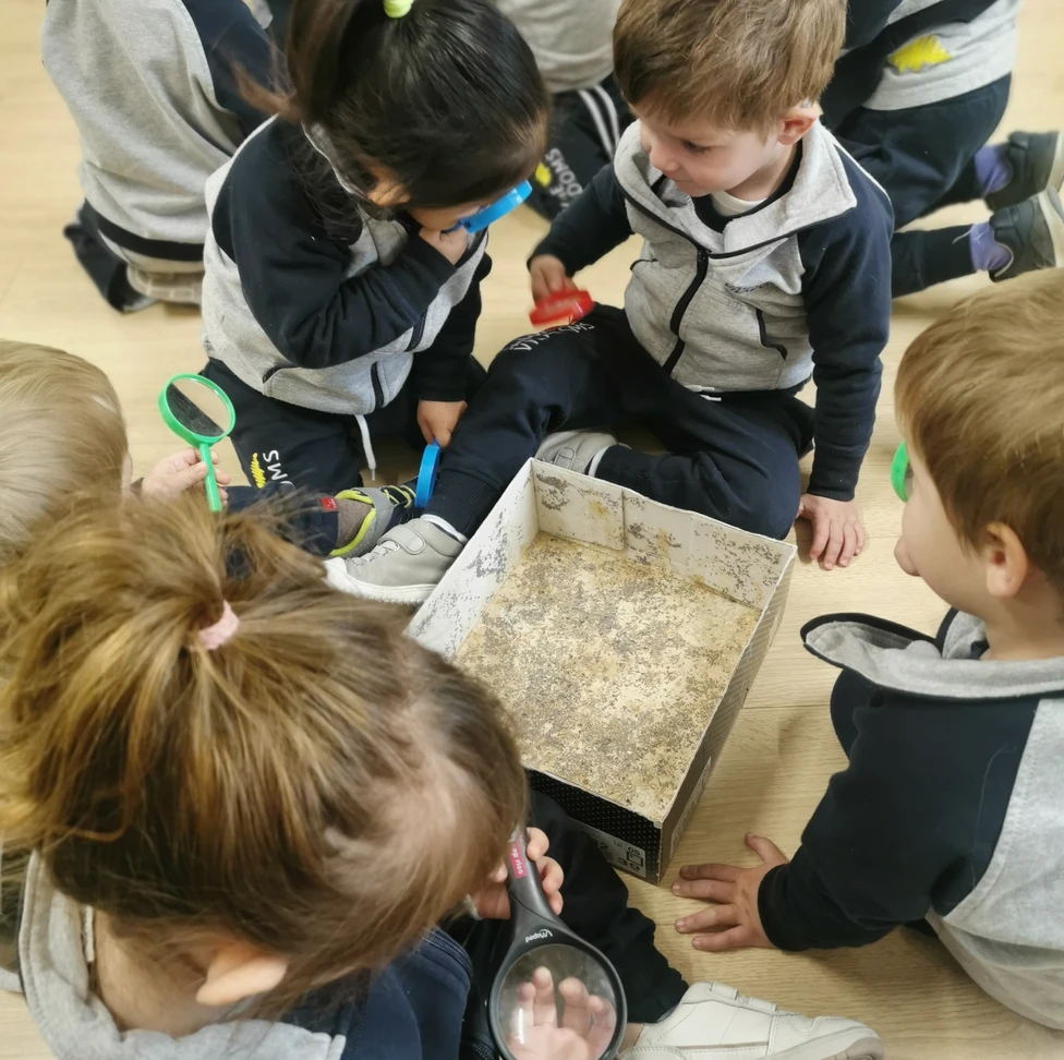 Gusanos de seda 2 61eeff 3be7444c28c341aa9bcf2b576d7b065fmv2