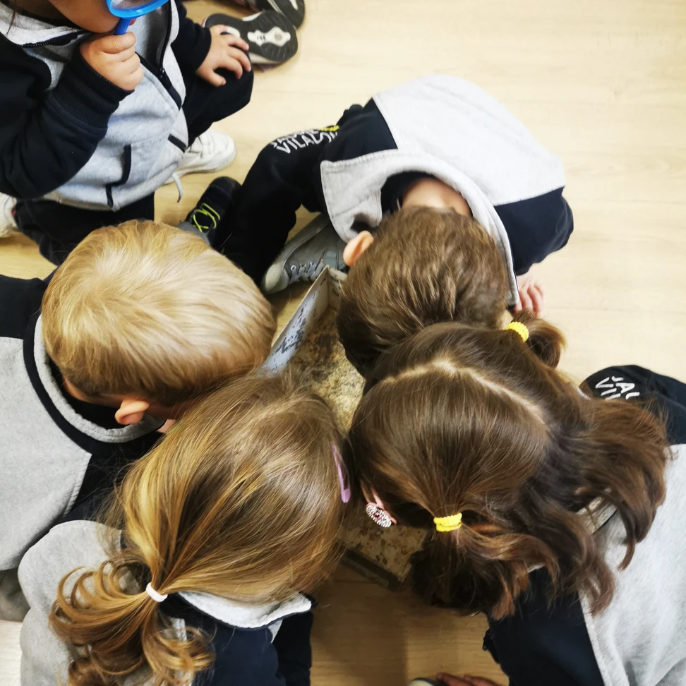 Gusanos de seda 1 61eeff 76942bfe4d374b8c8b3f0000a3b0a248mv2