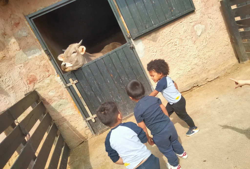 61eeff ecdeb4024f1a460890a8537e524c0056mv2